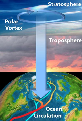 Illustration for article titled The winds of the stratosphere reshape deep ocean currents